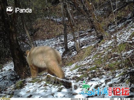 最低7℃！冰冷预警见效，中山又要降温 | 晨安，中山