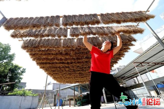 惠州日报/杨建业：不服凡是的一年伟大的记载-34.jpg