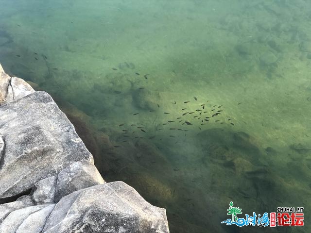 稀有温泉村：家家户户皆有温泉，河里皆是温泉，平易近宿泡20元一人-3.jpg