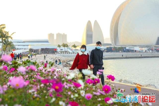 白的、粉的、黄的…珠海一年夜波“花海”，便正在家门心