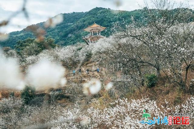 广州：村落好景进绘去