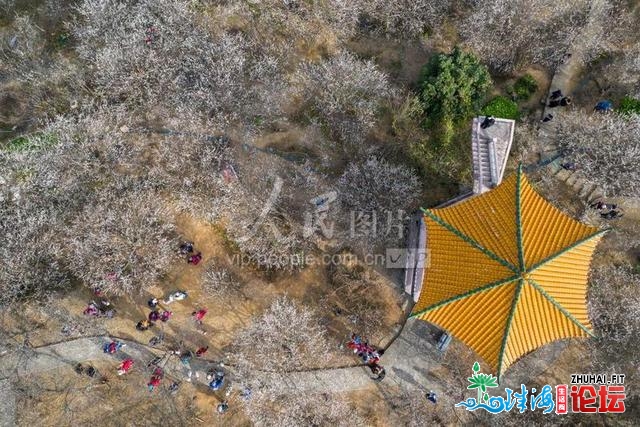 广州：村落好景进绘去