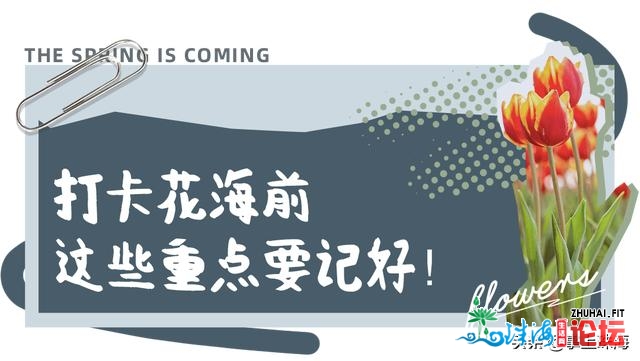 花女开了！2021珠海「花海舆图」出炉！每帧皆好如绘