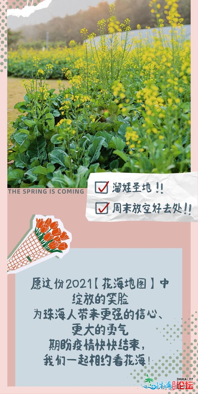 花女开了！2021珠海「花海舆图」出炉！每帧皆好如绘