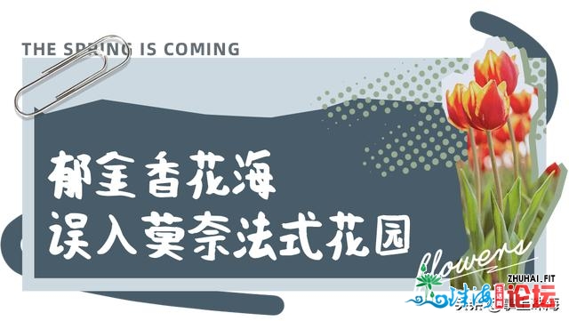 花女开了！2021珠海「花海舆图」出炉！每帧皆好如绘