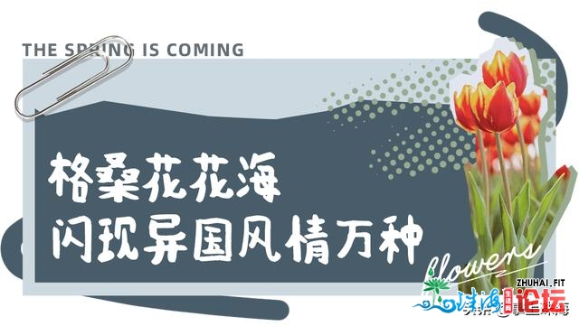 花女开了！2021珠海「花海舆图」出炉！每帧皆好如绘