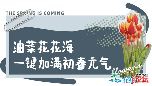 花女开了！2021珠海「花海舆图」出炉！每帧皆好如绘