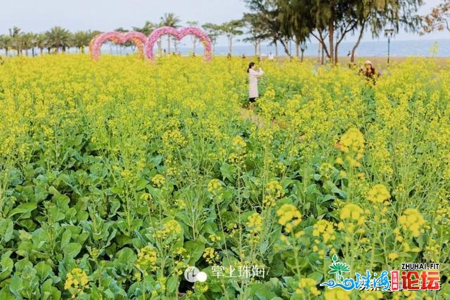 花女开了！2021珠海「花海舆图」出炉！每帧皆好如绘