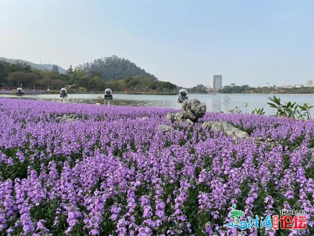 太好了！躲没有住了！