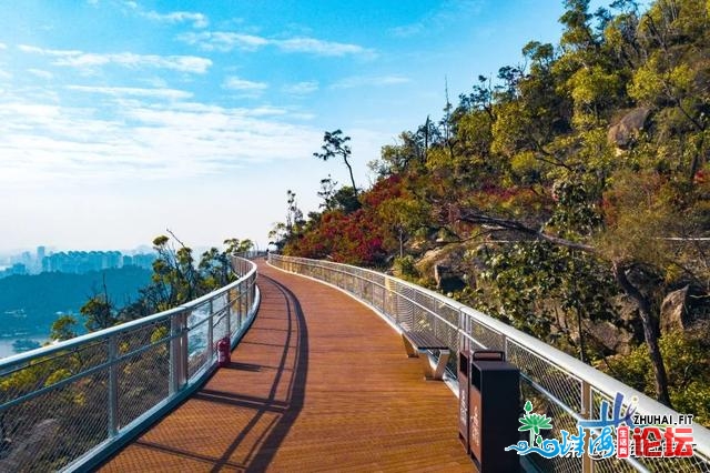 海拔约160至200米！珠海景山讲树模段对中开放！预定开启