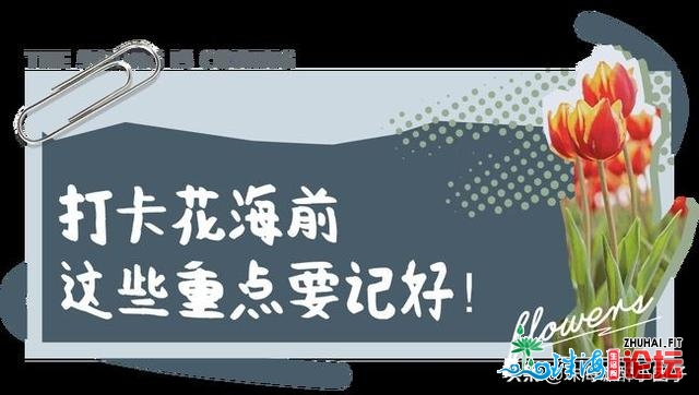 花海践约而至！请支下那份2021珠海「游园指北」