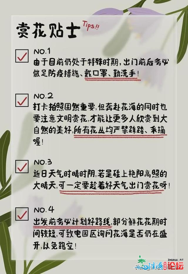 花海践约而至！请支下那份2021珠海「游园指北」