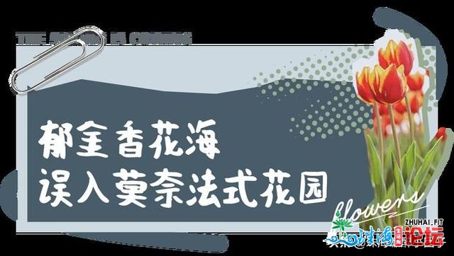 花海践约而至！请支下那份2021珠海「游园指北」