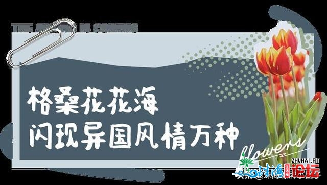 花海践约而至！请支下那份2021珠海「游园指北」