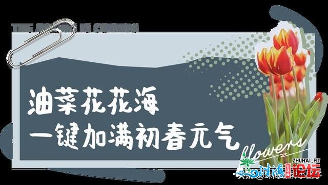 花海践约而至！请支下那份2021珠海「游园指北」