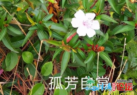 許均銓：東澳島遊記