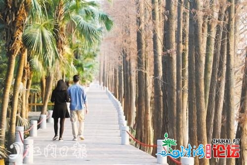 江海区给市平易近旅客带去新的“幸运体验”-7.jpg