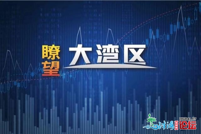 《瞭视年夜湾区》：热点种类下位分化 机构号令沉着对待“...