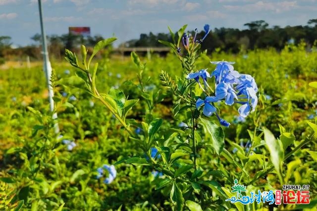 明天起，来东莞那些处所要预定