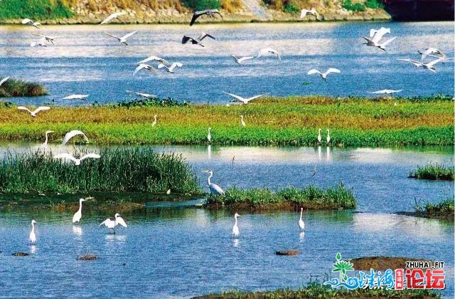 正在珠海，有一种宜居叫来各座海岛度假小住