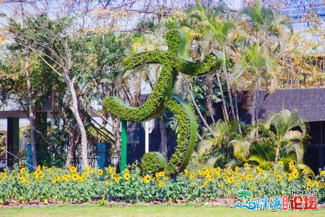 喜气洋洋马蹄徐，一日看尽下新花