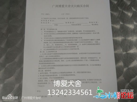 叨教一下肇庆那里有正轨犬舍或狗场