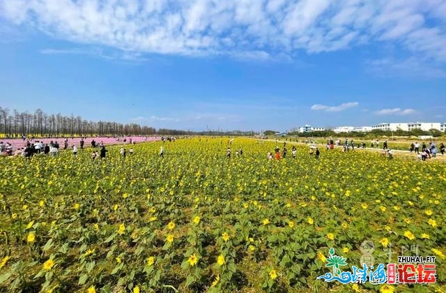 几次刷屏！斗门那些处所太水了-11.jpg