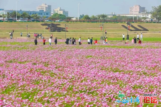 东莞“小蛮腰”刷屏伴侣圈！牛年那些景面很“白”