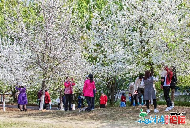 炽热的肇庆景区，那一幕幕使人打动