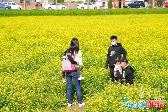 人少景靓！斗门人“公赏”的尽好花田，终究被发明了…