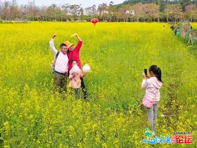 人少景靓！斗门人“公赏”的尽好花田，终究被发明了…