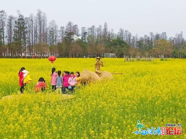 人少景靓！斗门人“公赏”的尽好花田，终究被发明了…