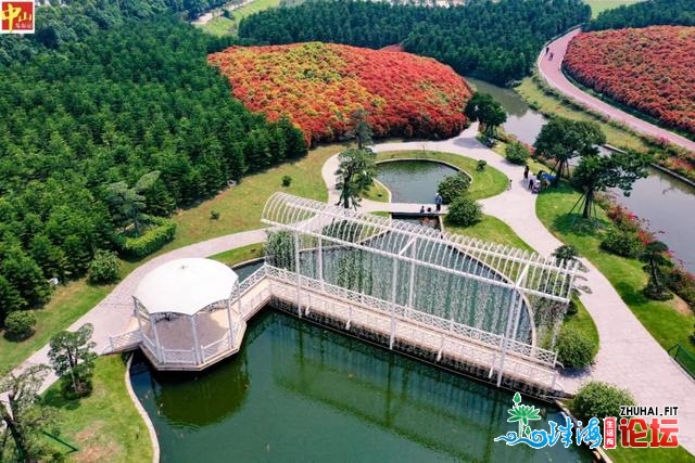 骑马、赏油菜花！中山那个童话小镇，等您去约-13.jpg