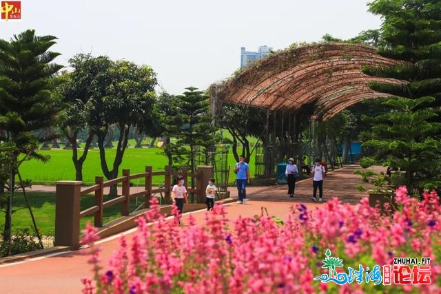 骑马、赏油菜花！中山那个童话小镇，等您去约-27.jpg