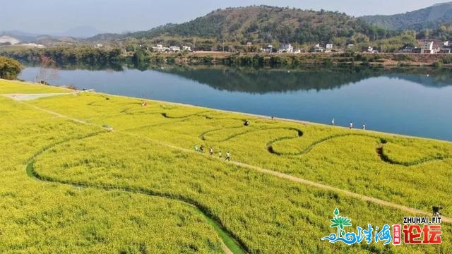 「文化旅游」肇庆多彩举动迎旅客，文化理念进民气