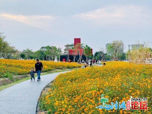 北方拍客 | 太好啦！广东那些处所花已怒放