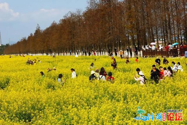 133.21万人次！珠海那些处所，刷爆伴侣圈