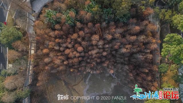 100+留珠过年好去向！那份2021秋节玩耍攻略您必然用得上-39.jpg