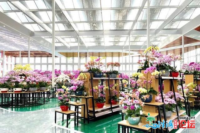 惠乡旅游市场人气鼓鼓飙降！秋节7天欢迎旅客82.8万