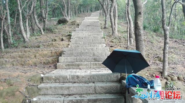 深圳有个国度齐域旅游树模区，域内乱9条徒步道路远半是网白道路-4.jpg