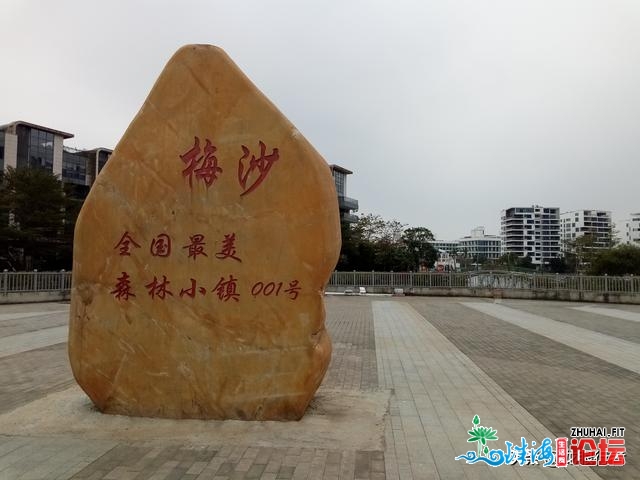 深圳有个国度齐域旅游树模区，域内乱9条徒步道路远半是网白道路-6.jpg