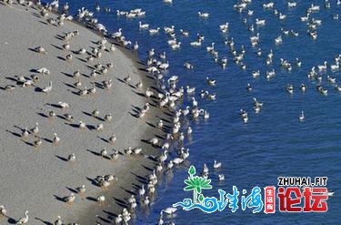 广东：沐日文旅消耗热-4.jpg