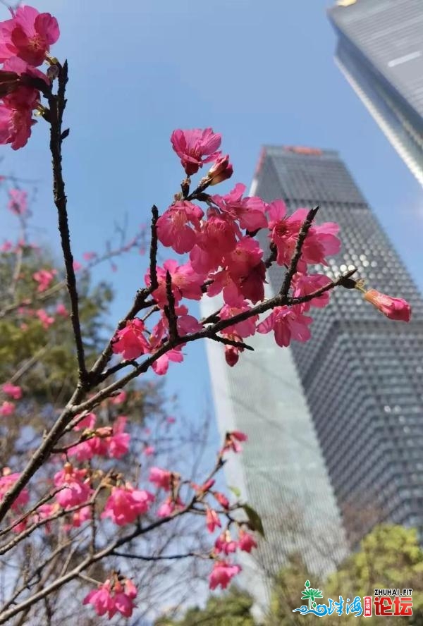 雨雨雨 广州下周将慢降远10℃-6.jpg