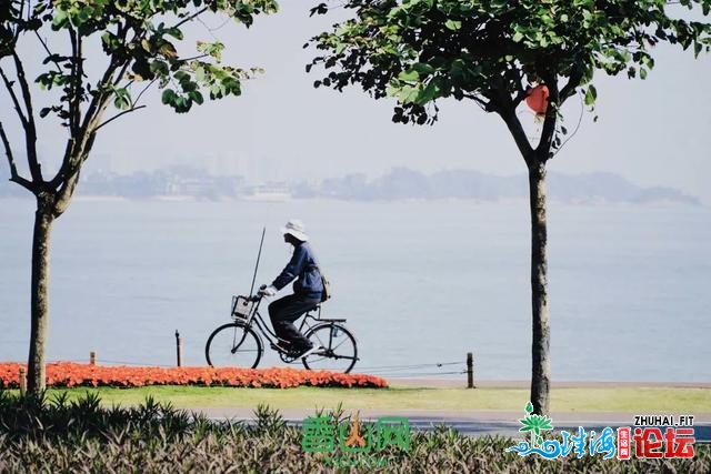 ​快来！刷爆伴侣圈的家狸岛花海，再过几天要消逝了