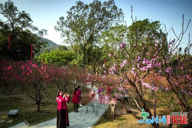 广东公园景区秋节欢迎旅客远四万万