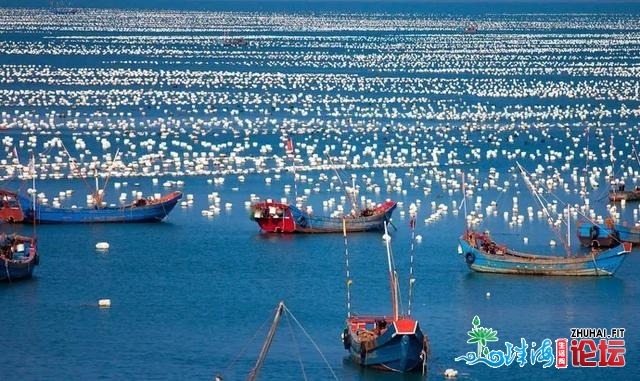 公躲多年的海内小寡海岛度假胜天，明天一次性局部公然...