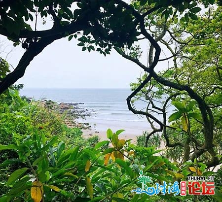 公躲多年的海内小寡海岛度假胜天，明天一次性局部公然...