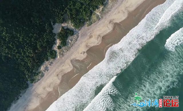 公躲多年的海内小寡海岛度假胜天，明天一次性局部公然...