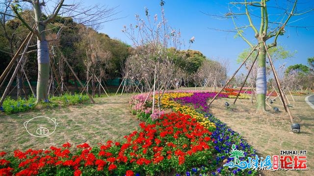 佛山｜佛山本来也有水山，遗址便正在王借岗