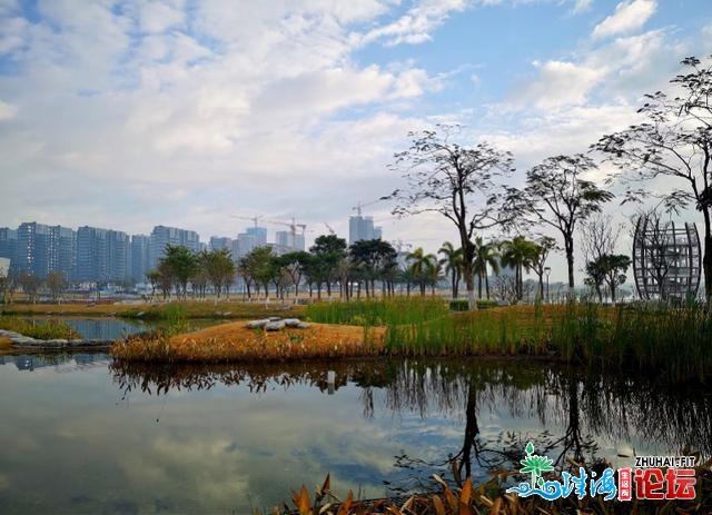 阳化冰：安身“两区”劣势，掌握一体化机缘，完成逾越...